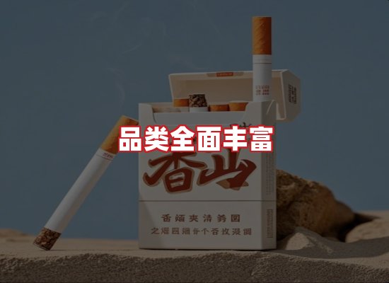 专业团队